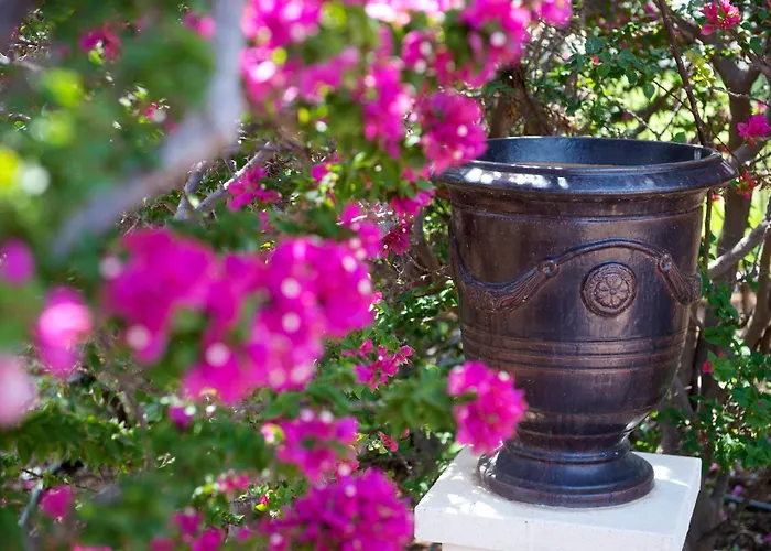 Akamanthea Village 4*