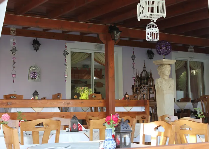 Aparthotel Akamanthea Village Polis