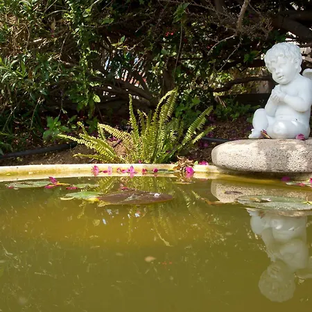 Akamanthea Village Polis