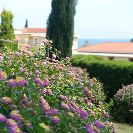 Hotel apartamentowy Akamanthea Village 4*