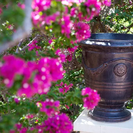 Akamanthea Village 4*