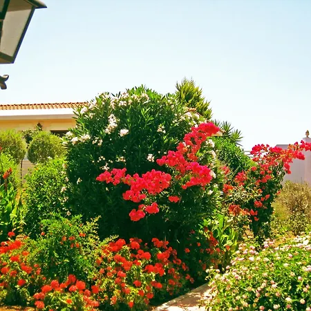 Hotel apartamentowy Akamanthea Village 4*