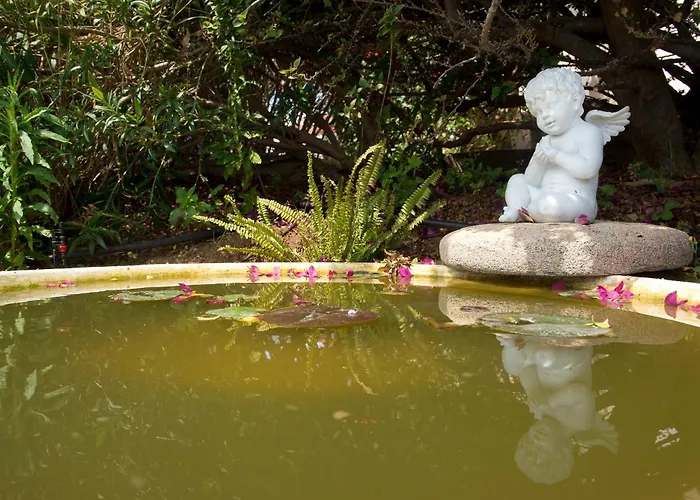 Akamanthea Village Polis