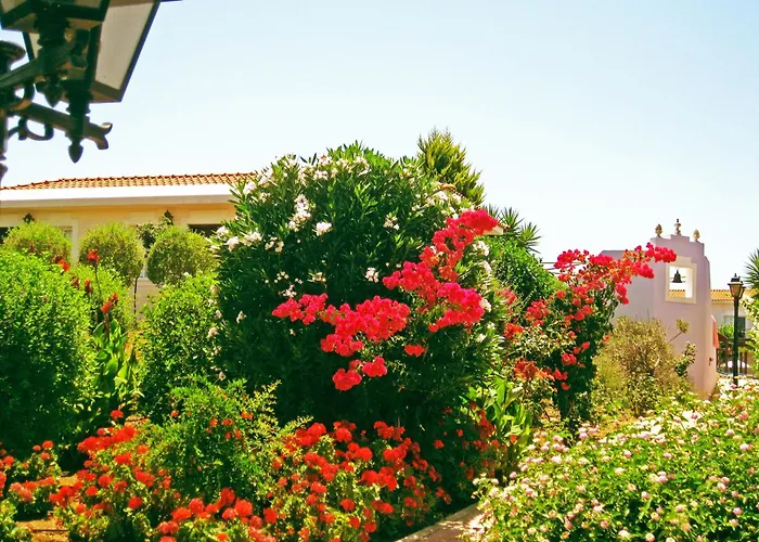 Lejlighedshotel Akamanthea Village 4*